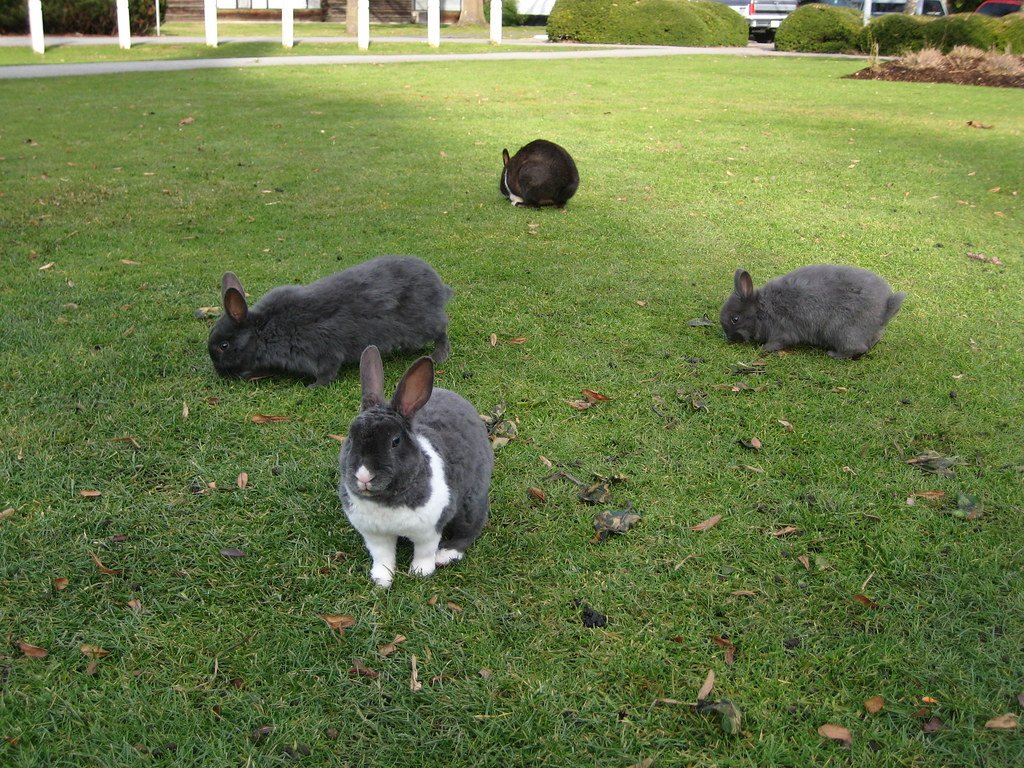 🏞️ 미로쿠 자연공원(미로쿠시젠코엔) 이미지 8